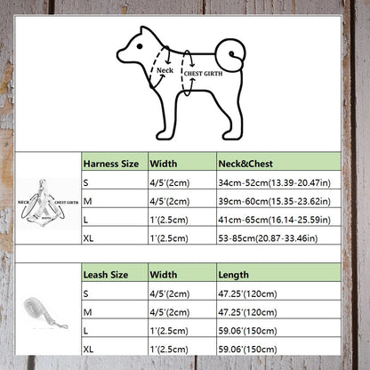 Spearmint Green Dog Harness Set