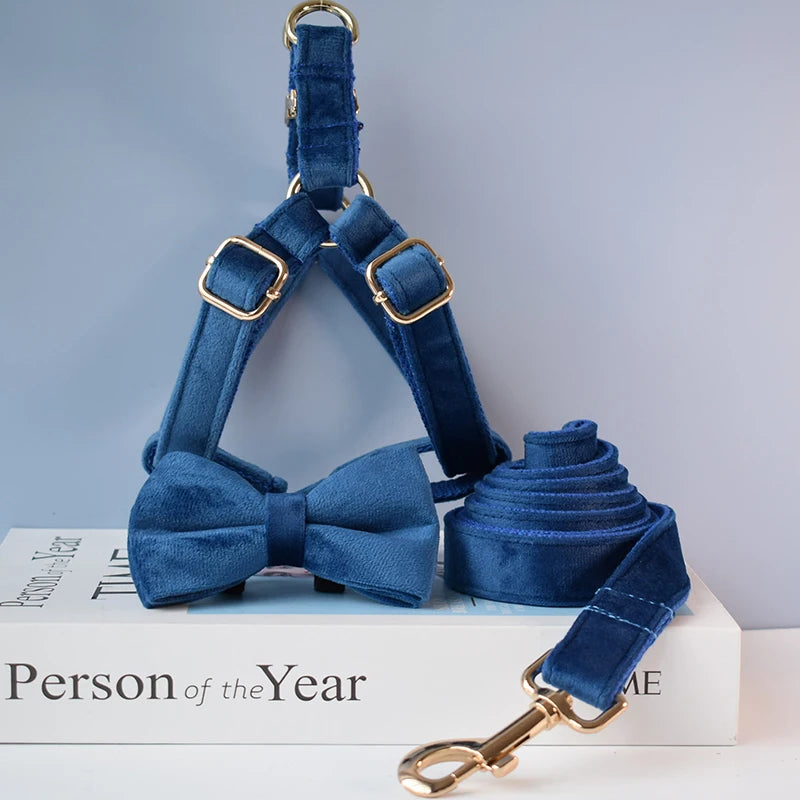 Royal Blue Dog Harness Set