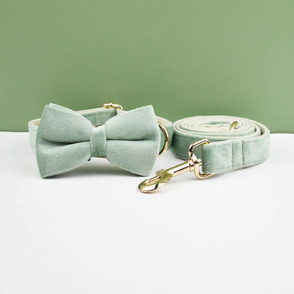 Mint Green Velvet Dog Collar And Leash Set