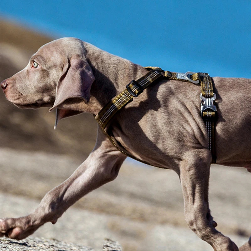 TRUELOVE Lightweight Dog Harness