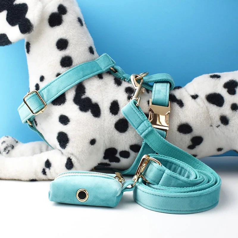 Turquoise Velvet Dog Collar And Leash Set