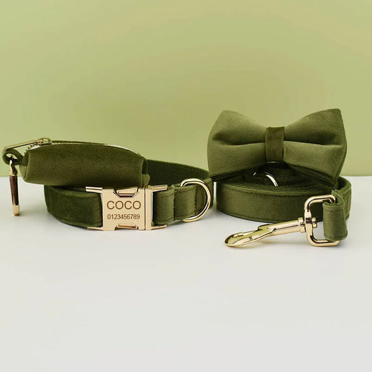 Retro Green Dog Collar Set