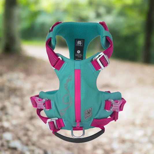 TRUELOVE Escape-proof Harness with Pocket