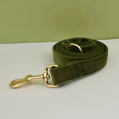 Retro Green Dog Collar Set