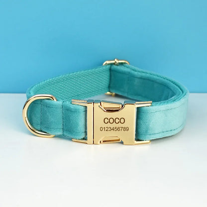 Turquoise Velvet Dog Collar And Leash Set